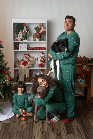 Christmas Pet and Family Photography | Colorado Springs